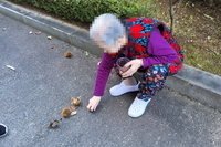 수급자 만족(밤 줍기)